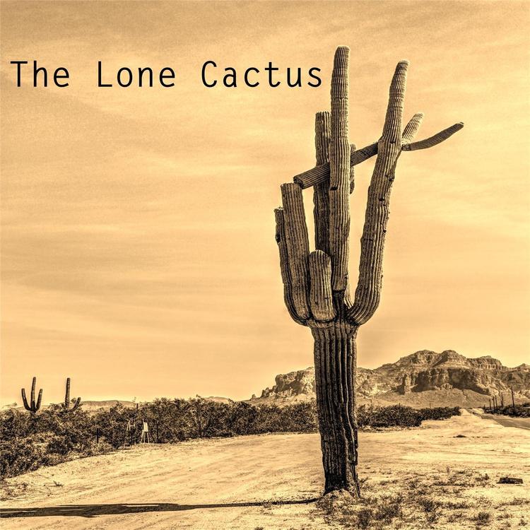 The Lone Cactus's avatar image