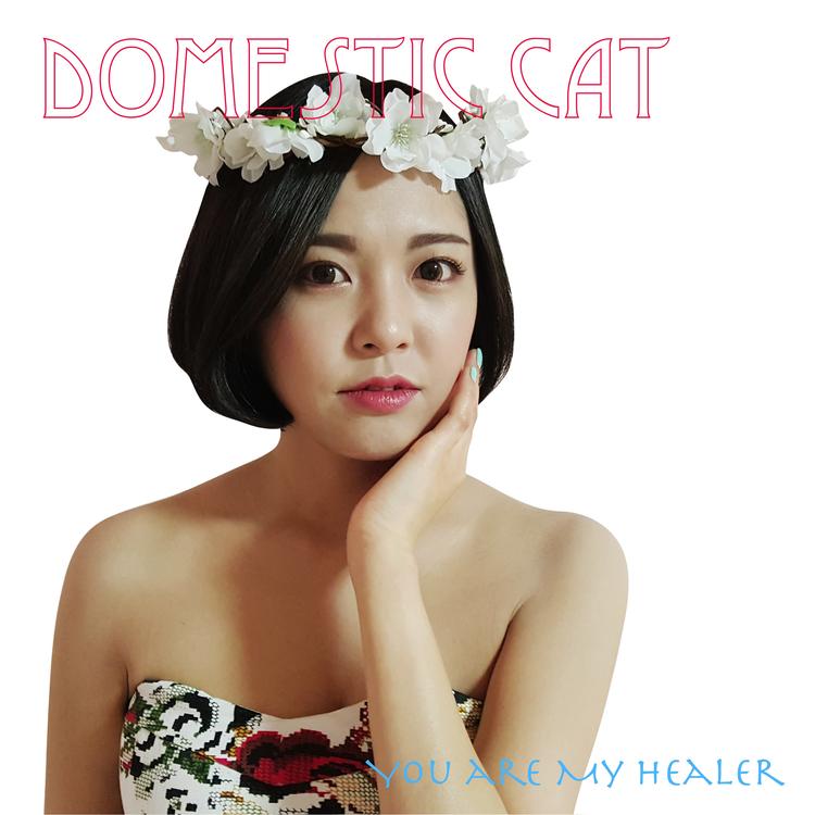 Domestic Cat JiAe's avatar image