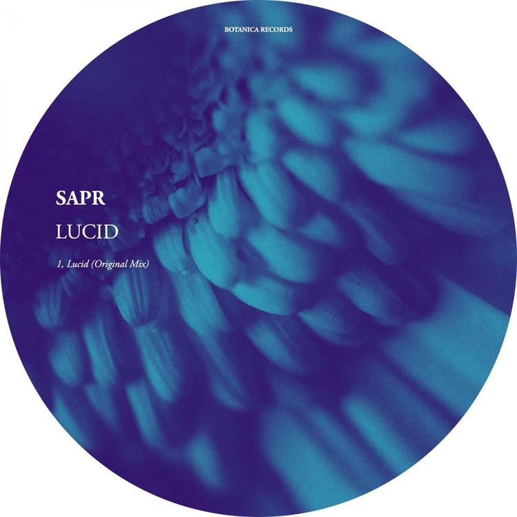SAPR's avatar image