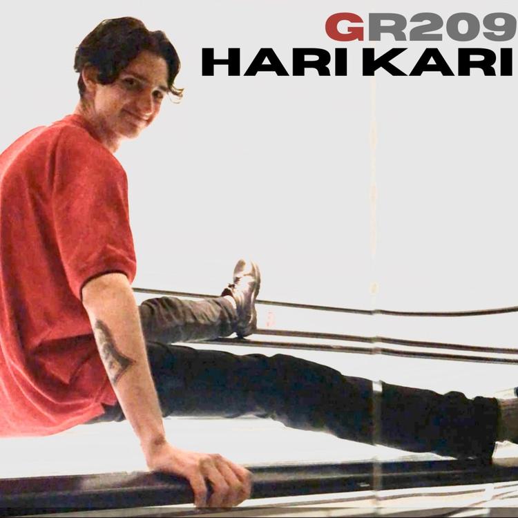 Hari Kari's avatar image