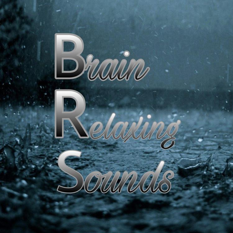 Brain Relaxing Sounds's avatar image