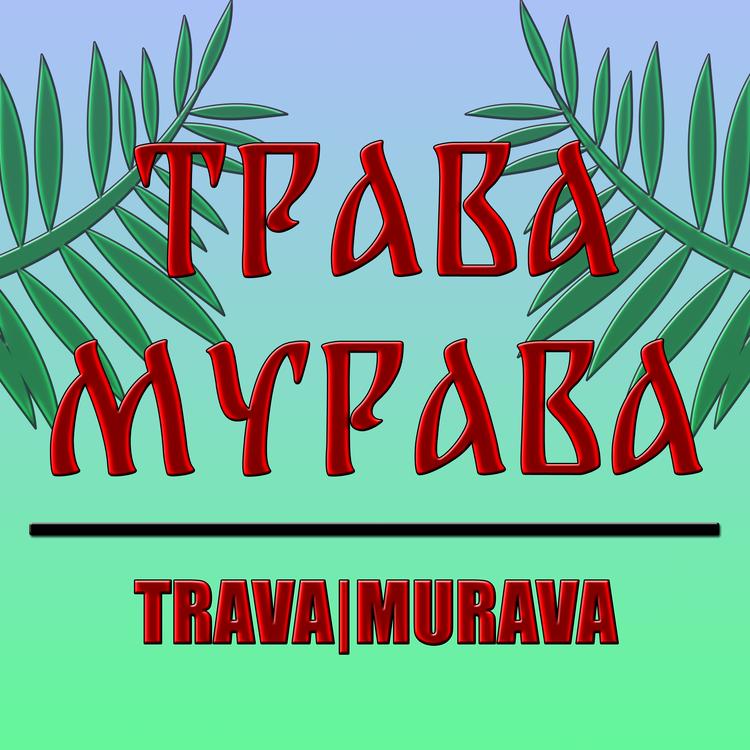 TRAVA|MURAVA's avatar image