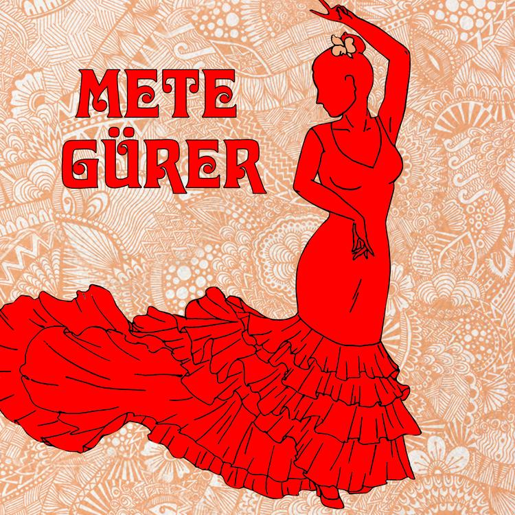 Mete Gürer's avatar image