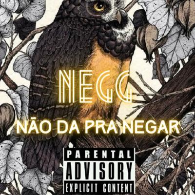 Não da pra Negar's cover