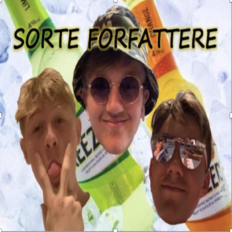 Sorte Forfattere's avatar image