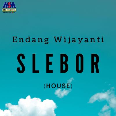 Slebor (House Music)'s cover