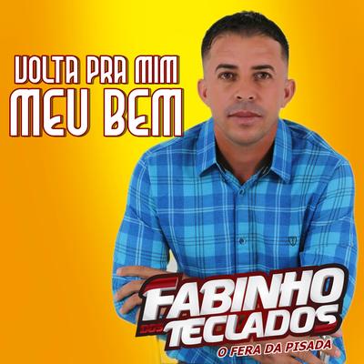 Volta pra Mim Meu Bem By Fabinho dos teclados's cover