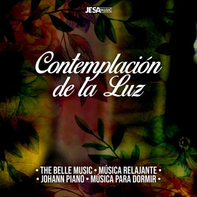 La Democracia (Edición especial) By The Belle Music, Musica Relajante, Johann Piano, Musica Para Dormir's cover