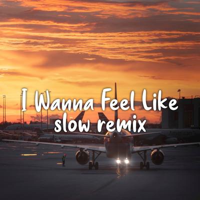 DJ I Wanna Feel Like - Slow Remix's cover