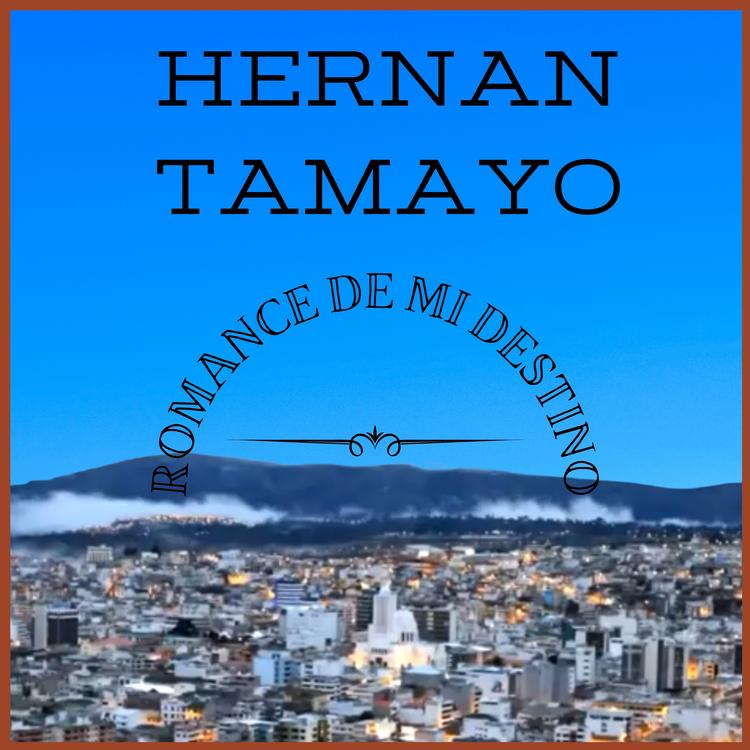 Hernan Tamayo's avatar image