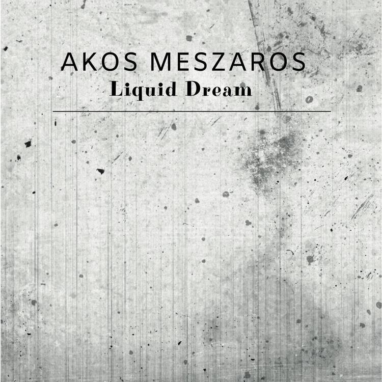 Akos Meszaros's avatar image