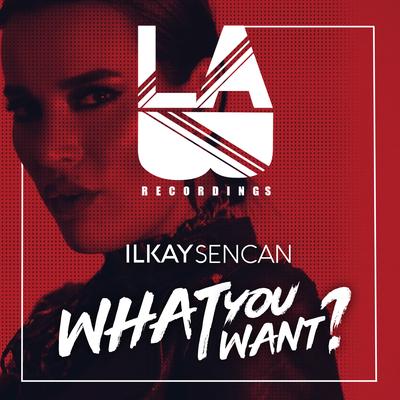 What You Want's cover