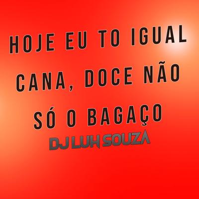 Hoje Eu to Igual Cana, Doce Não Só o Bagaço By Dj Luh Souza's cover