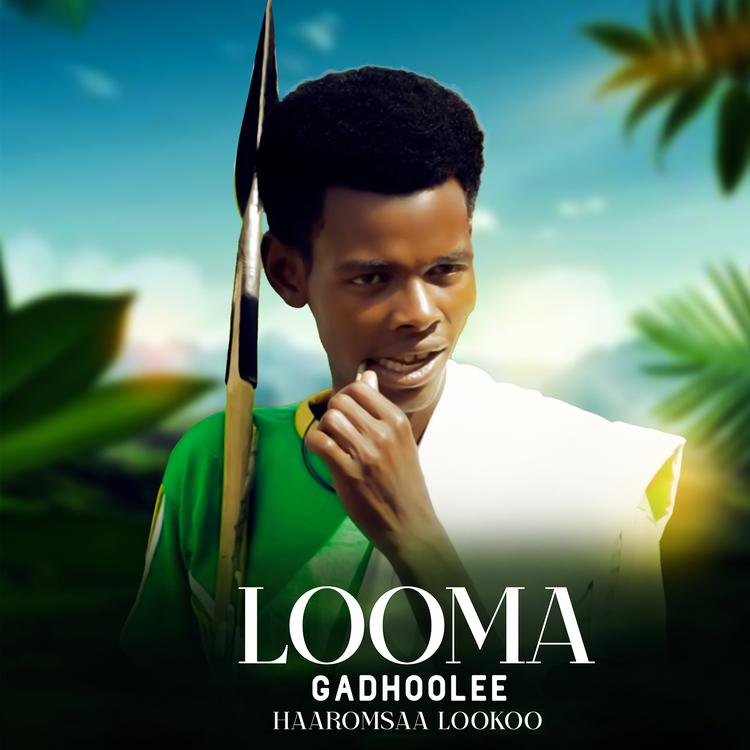 HAAROMSAA LOOKOO's avatar image