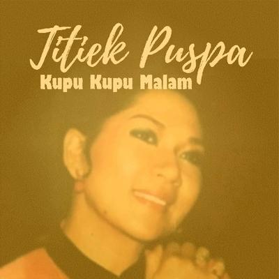 Kupu Kupu Malam's cover