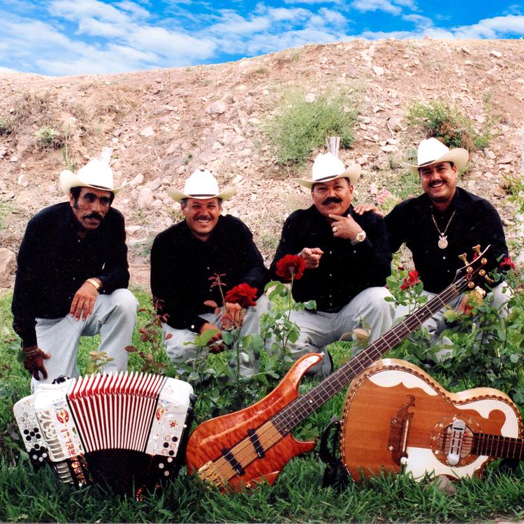 Arte Norteño's avatar image