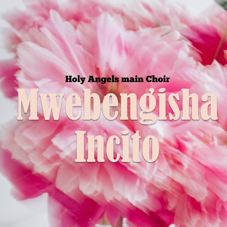 Holy Angels Main Choir's avatar image