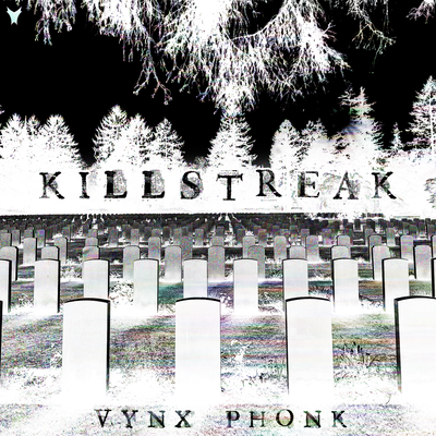 Killstreak By VYNX PHONK's cover