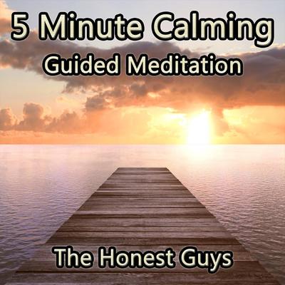 5 Minute Calming Guided Meditation's cover