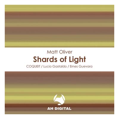 Shards of Light (Ernes Guevara Remix)'s cover