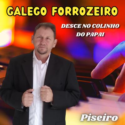 Galego Forrozeiro's cover