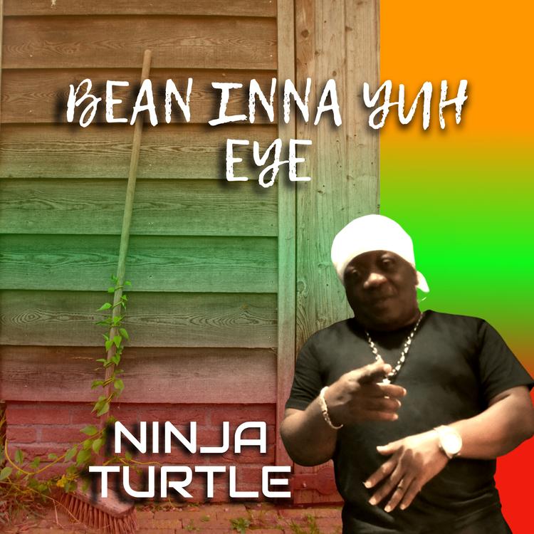 NINJA TURTLE's avatar image