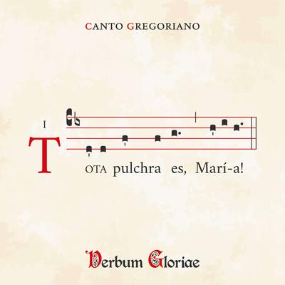 Tota pulchra es Maria By Verbum Gloriae's cover