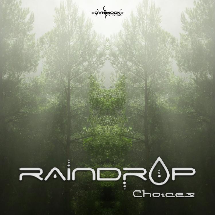 raindrop's avatar image