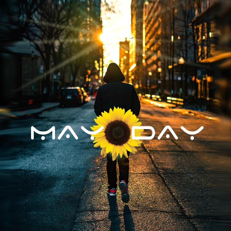 Project May Day's avatar image