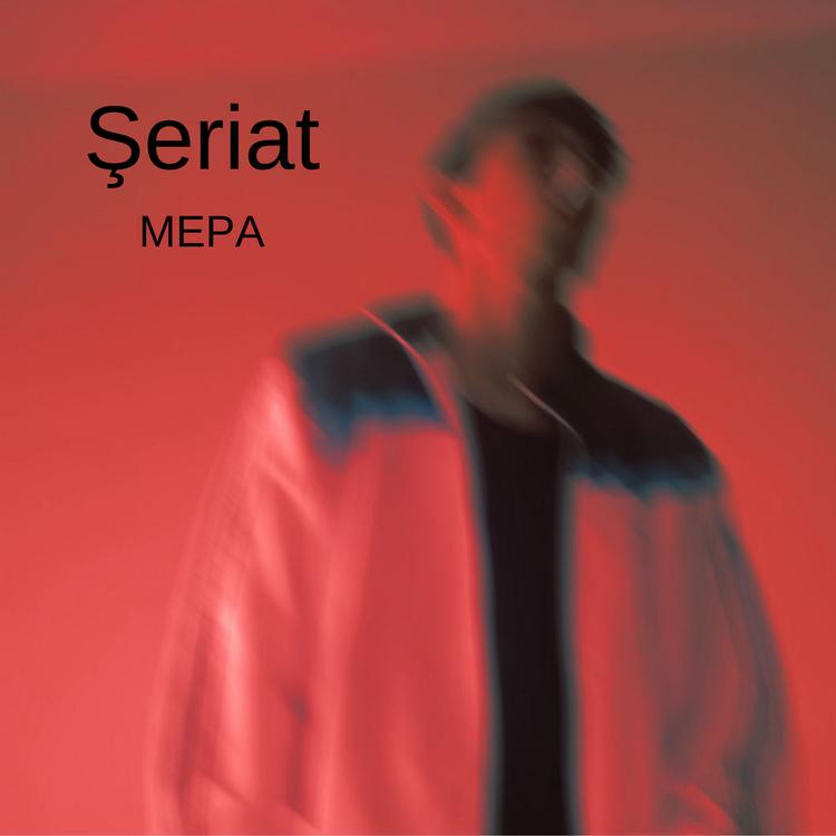 MEPA's avatar image
