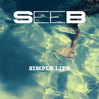 Simple Life By Seeb's cover