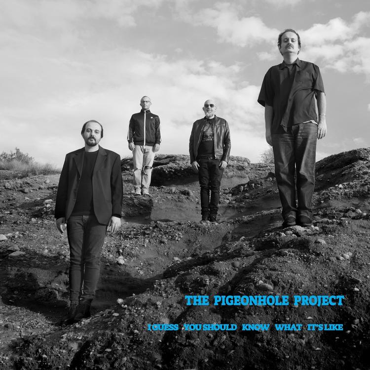 The Pigeonhole Project's avatar image