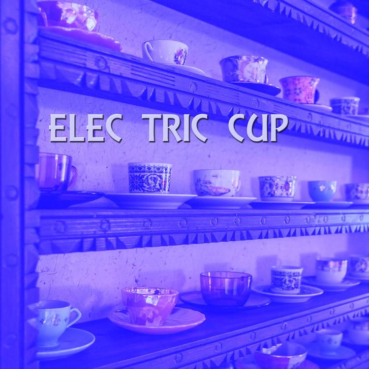 Elec Tric Cup's avatar image