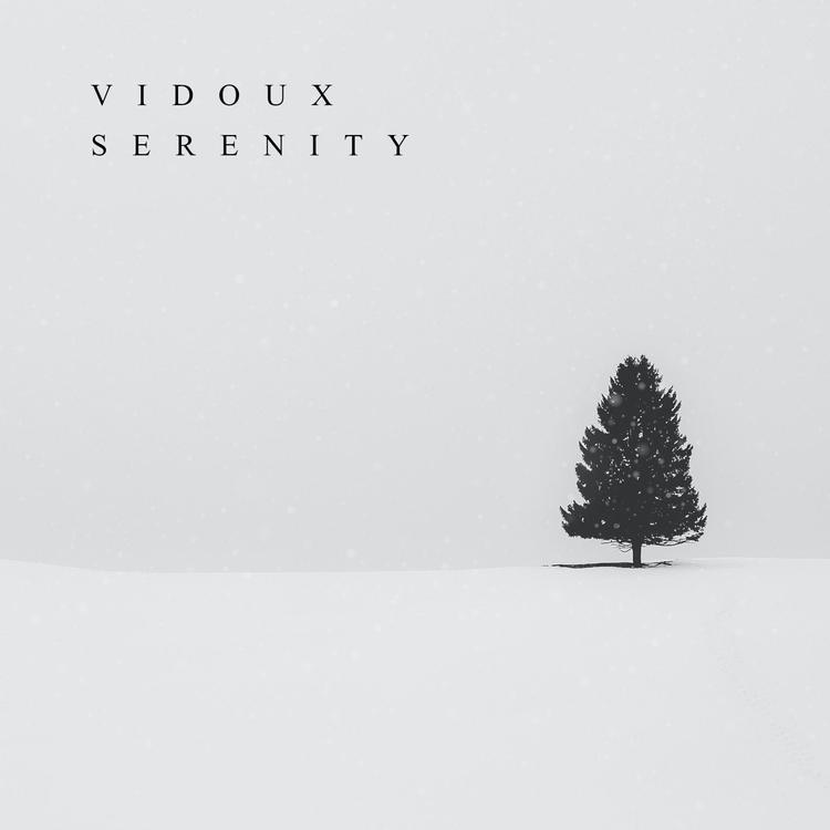 Vidoux's avatar image