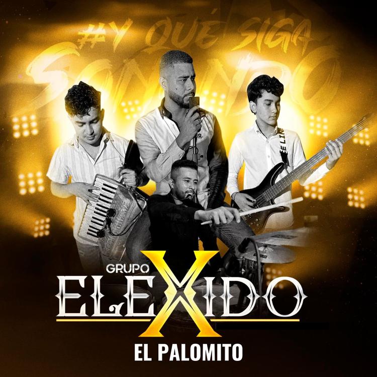Grupo Elexido's avatar image