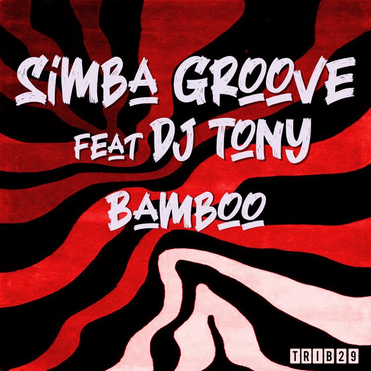 Simba Groove's avatar image