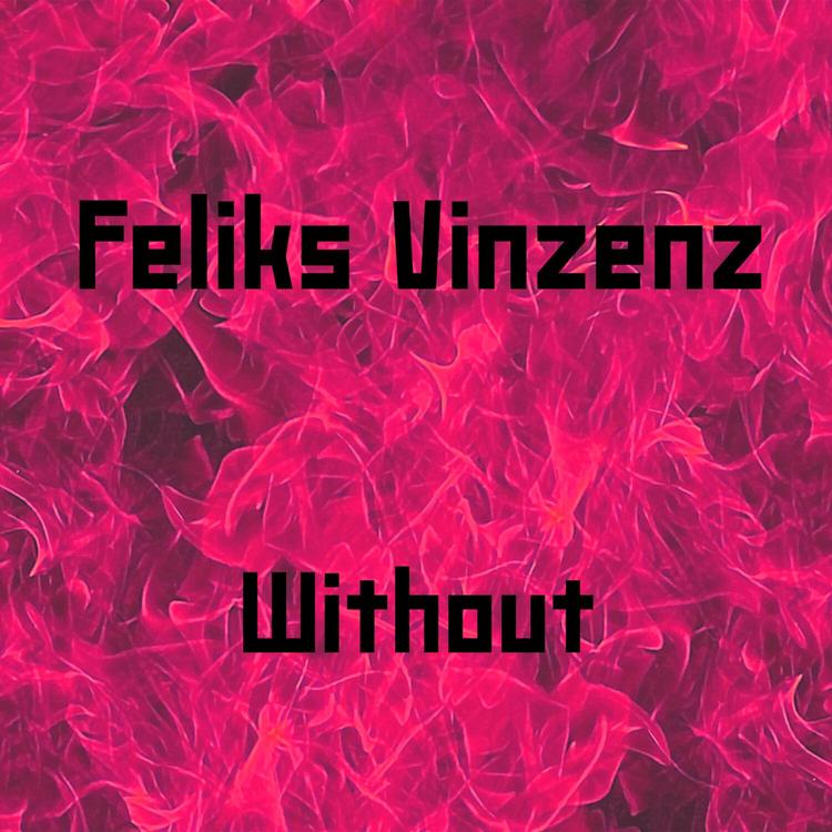 Feliks Vinzenz's avatar image