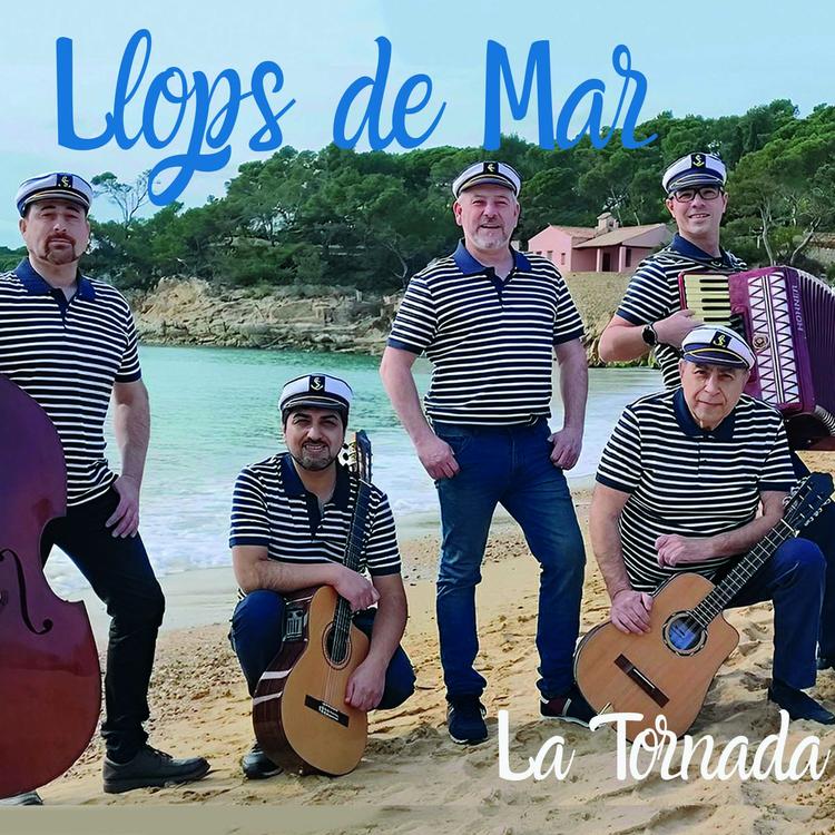 Llops de Mar's avatar image