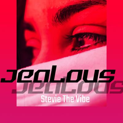 Jealous By Stevie the Vibe's cover