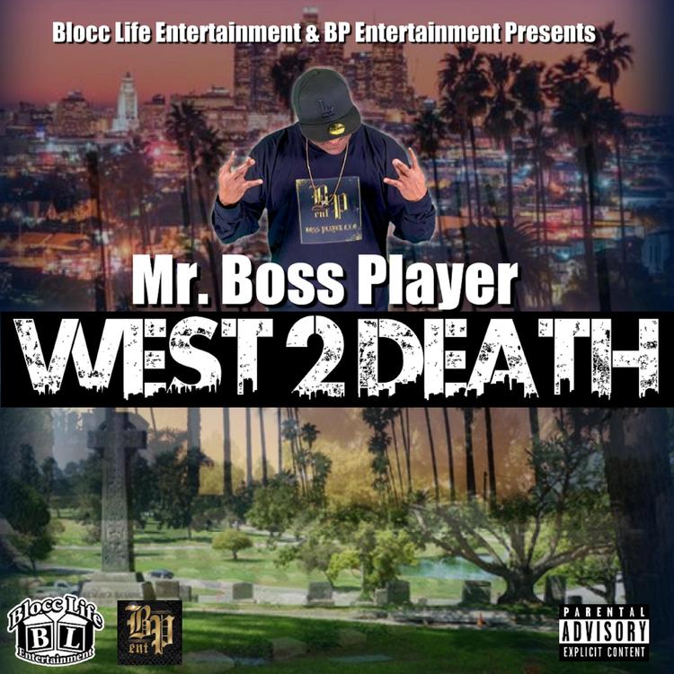 Mr. Boss Player's avatar image