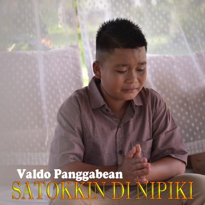 Satokkin DI Nipiki's cover