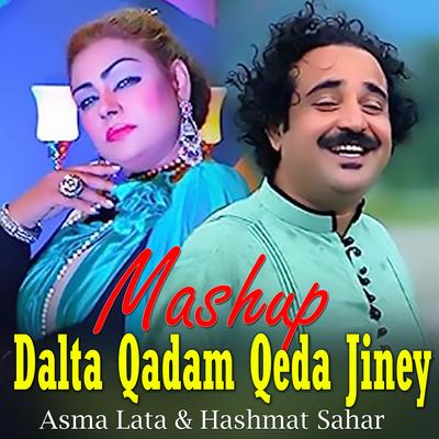 Mashup Dalta Qadam Qeda Jiney's cover