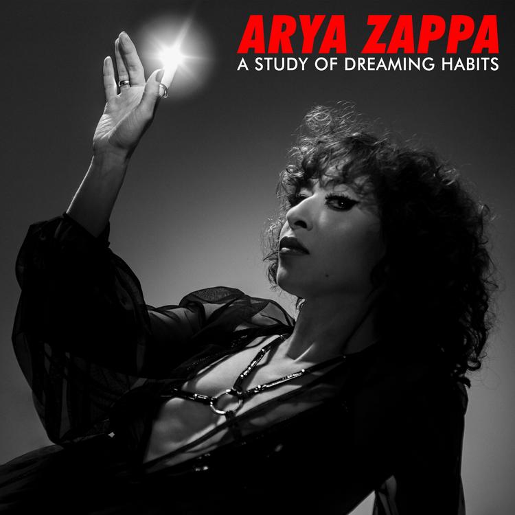 Arya Zappa's avatar image