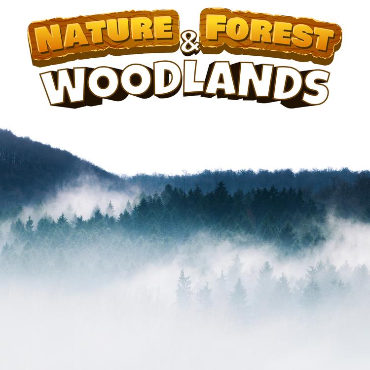 Nature Forest & Woodlands's avatar image