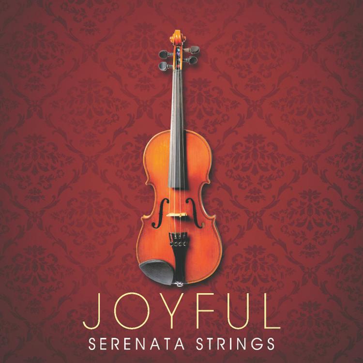 Serenata Strings's avatar image