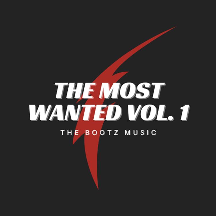The Bootz Music's avatar image