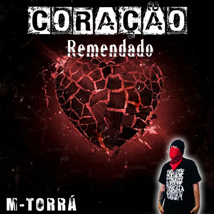 M. TORRÁ's avatar image