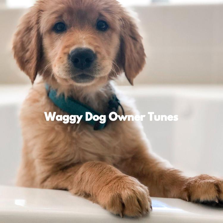 Doggy Music Radio's avatar image