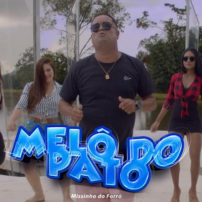 Melô do Pato By Missinho do forró's cover