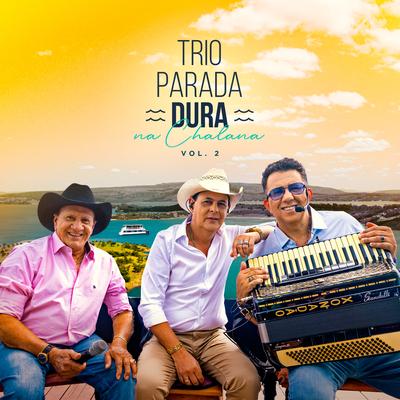 Mundinho Particular (Ao Vivo) By Trio Parada Dura, Gustavo Mioto's cover